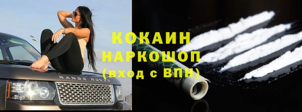 молекула духа Семилуки