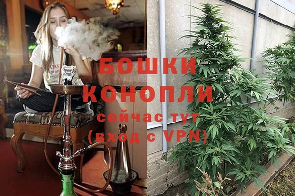 соль ск Сафоново