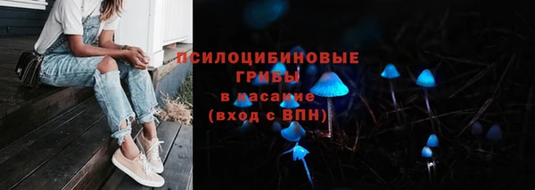 метадон Белокуриха