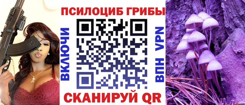 Псилоцибиновые грибы ЛСД  мега сайт  Верхний Тагил 